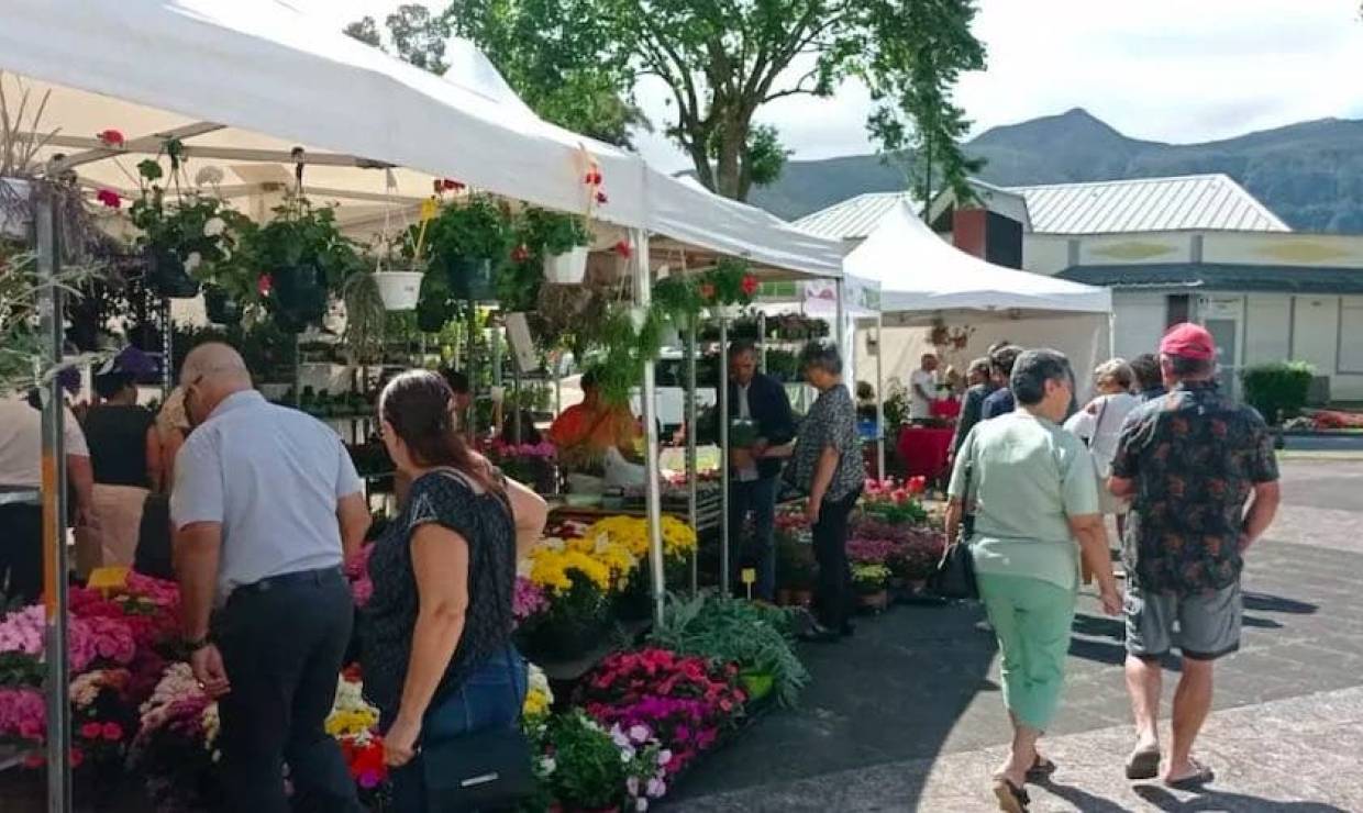 Marché forain de la Plaine des palmistes