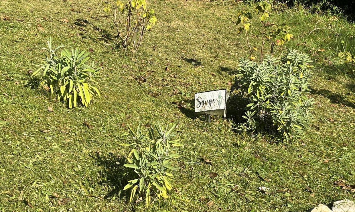 Aromatiques