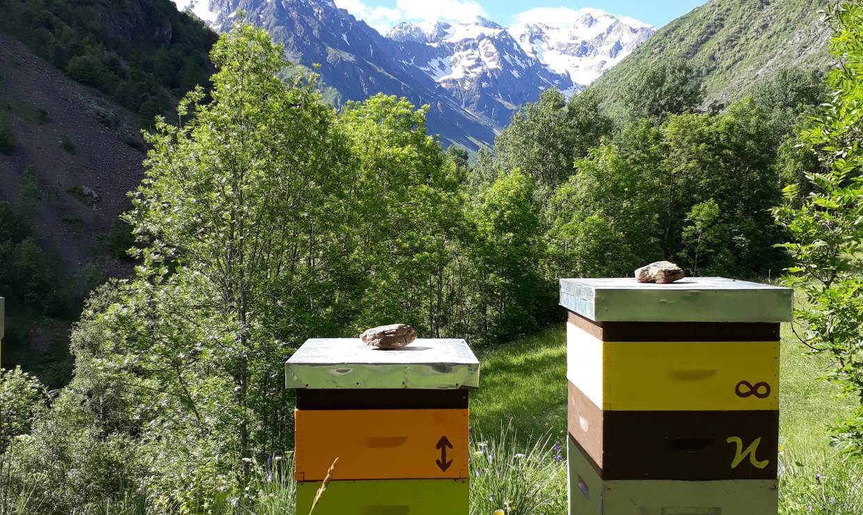 Bel'Abeille