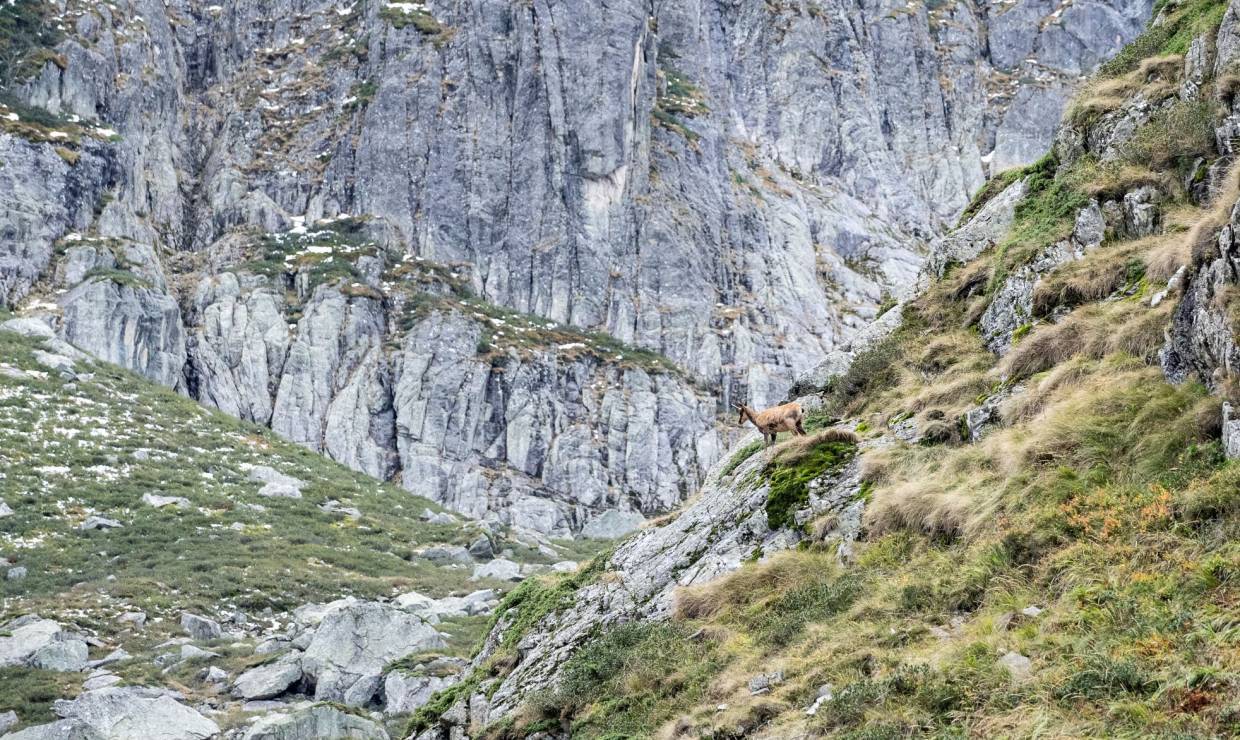 Randonnée photo avec Hadrien Brasseur © Pierre Meyer - AE Médias - Parc national des Pyrénées