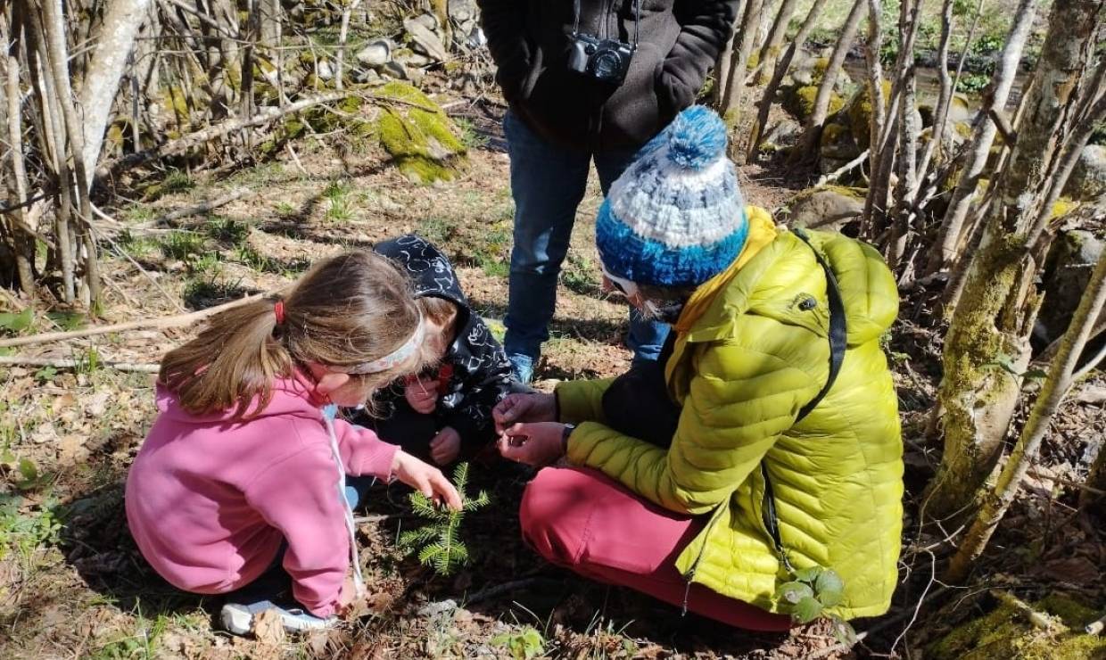 Plateau de Bernazaou - Association Eco'Dels