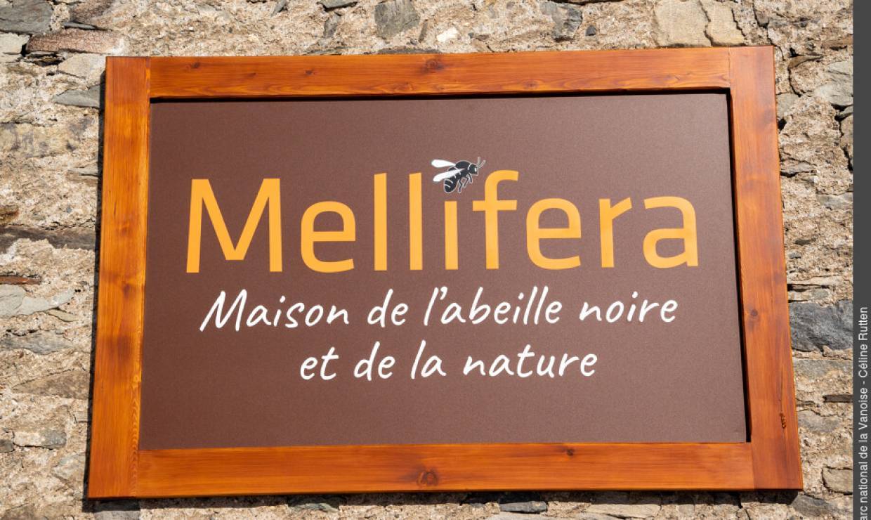 Mellifera Maison de l'abeille noire et de la nature Parc national de la Vanoise 3