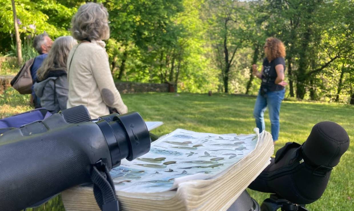 Balade ornithologique © Guillaume Richelot