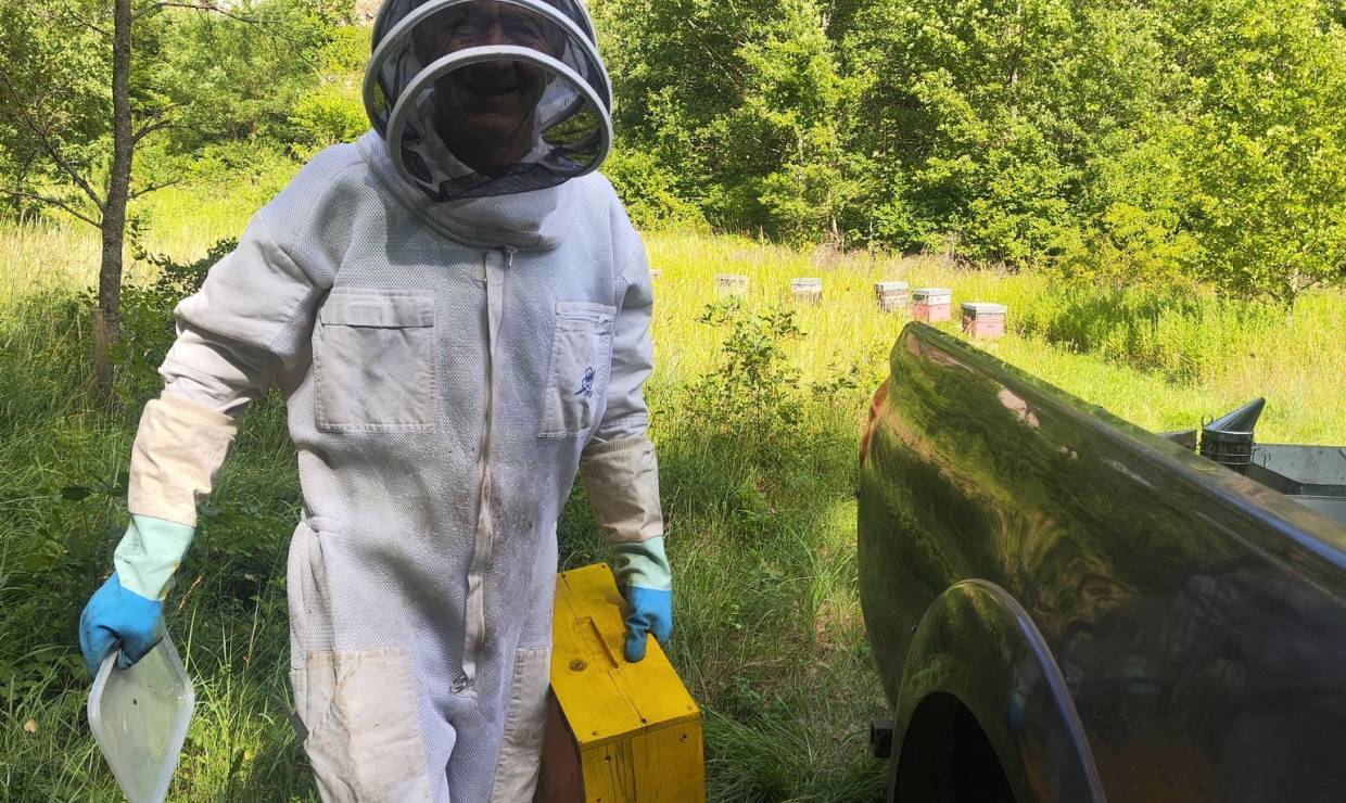 Apiculture