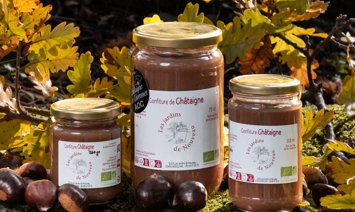 Confiture de Chataigne