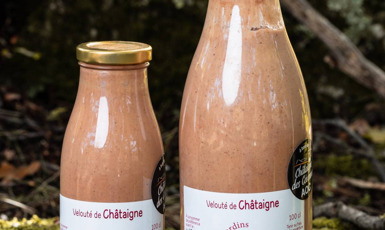 Veloute-de-chataigne