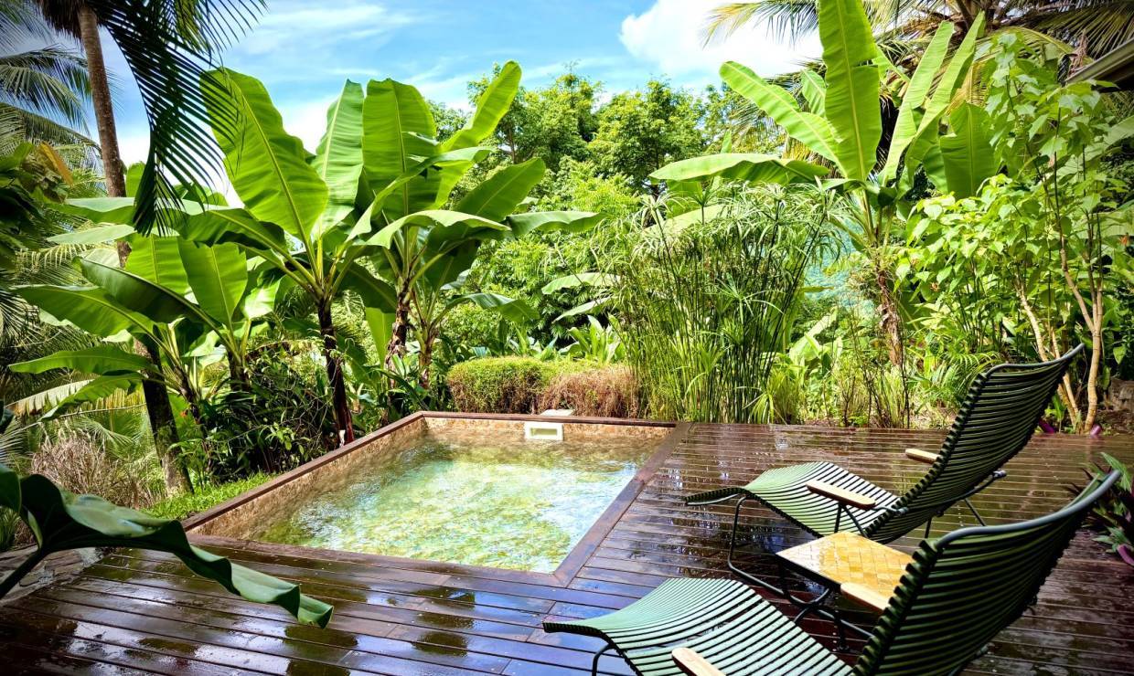 Cottage Solitude, piscine © Habitation Caféière Samana Beauséjour
