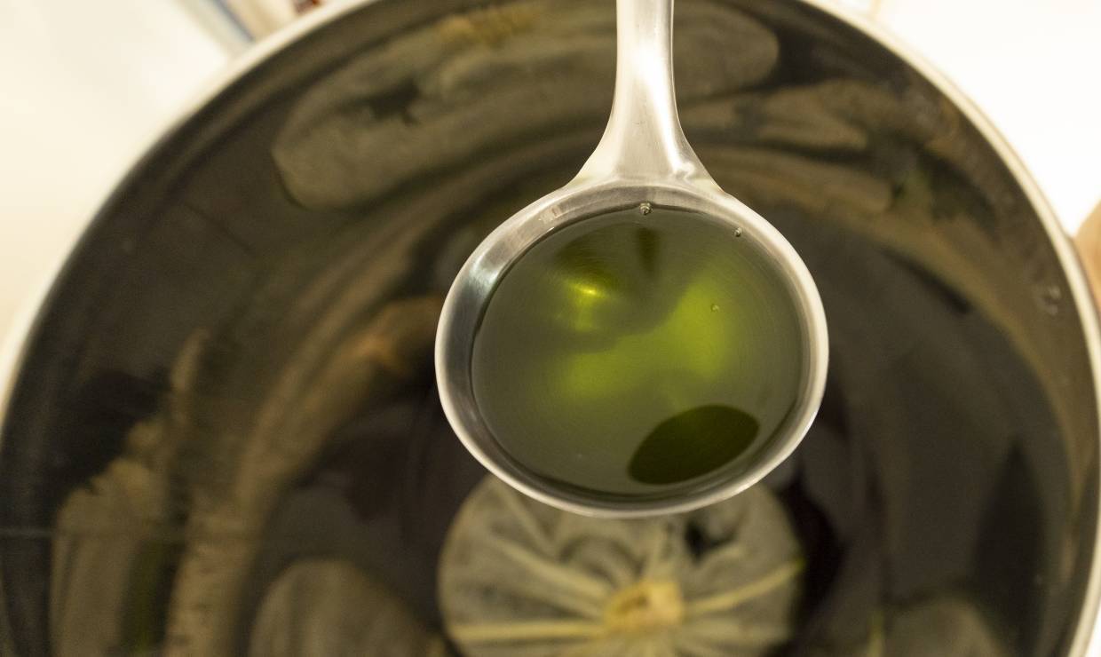 Ors na Bruma - P. MEYER - AE Médias - Parc national des Pyrénées