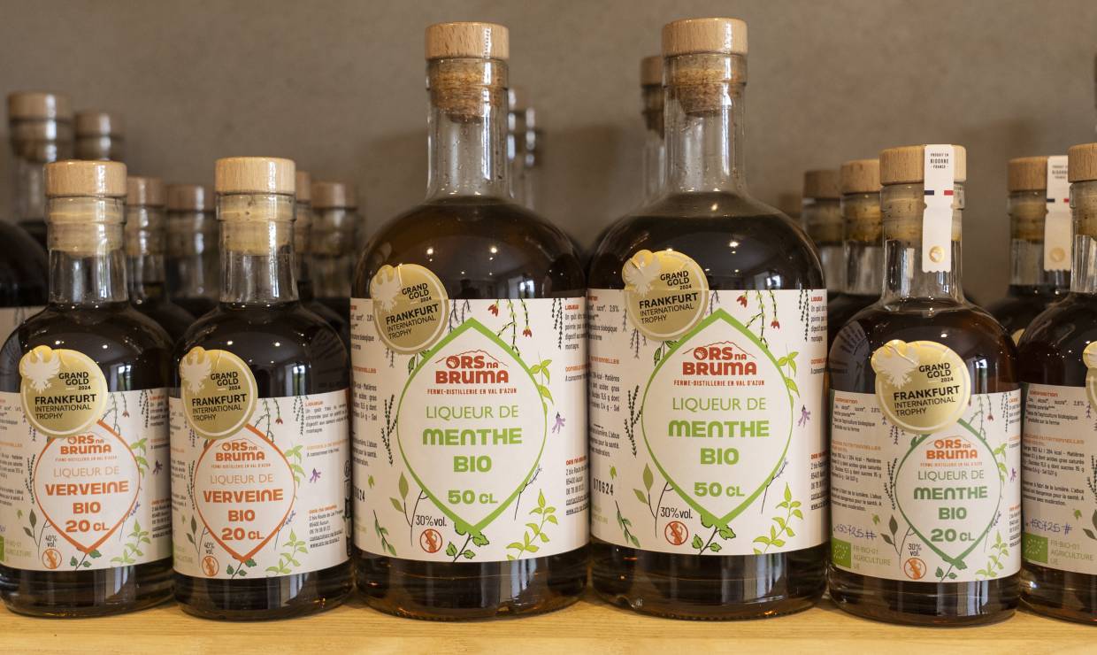 Ors na Bruma - P. MEYER - AE Médias - Parc national des Pyrénées