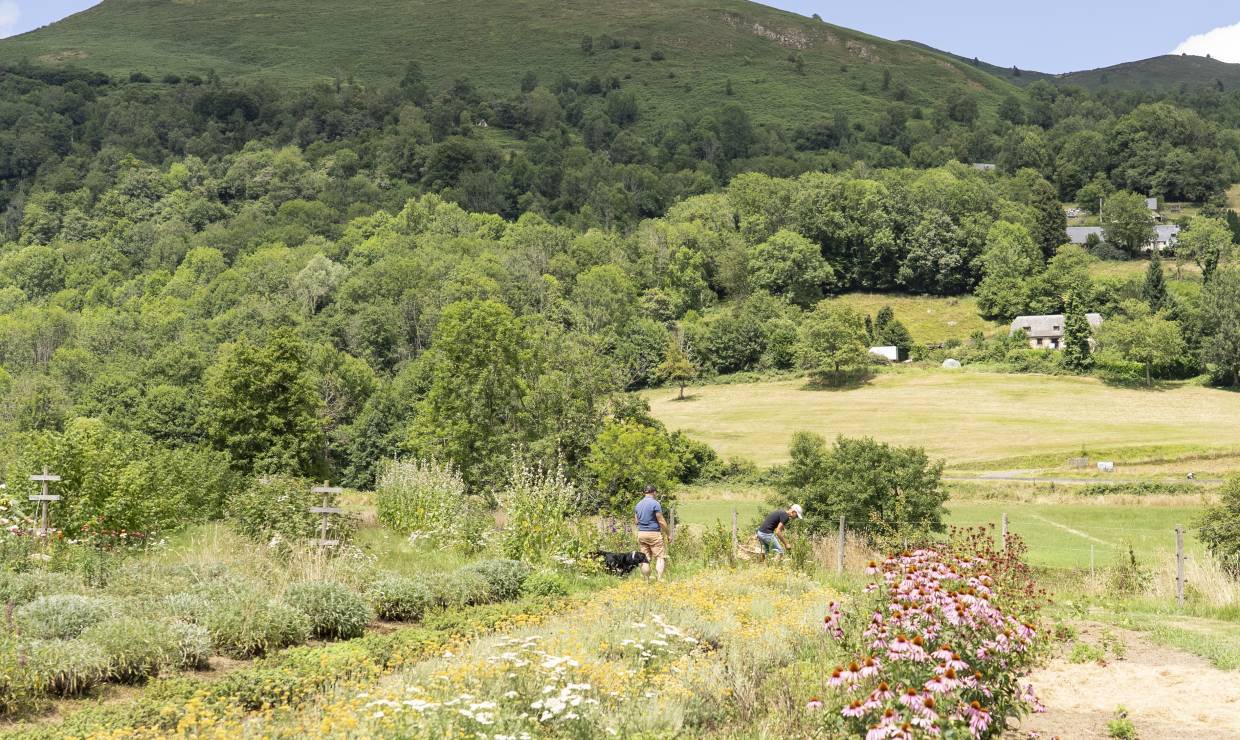 Ors na Bruma - P. MEYER - AE Médias - Parc national des Pyrénées
