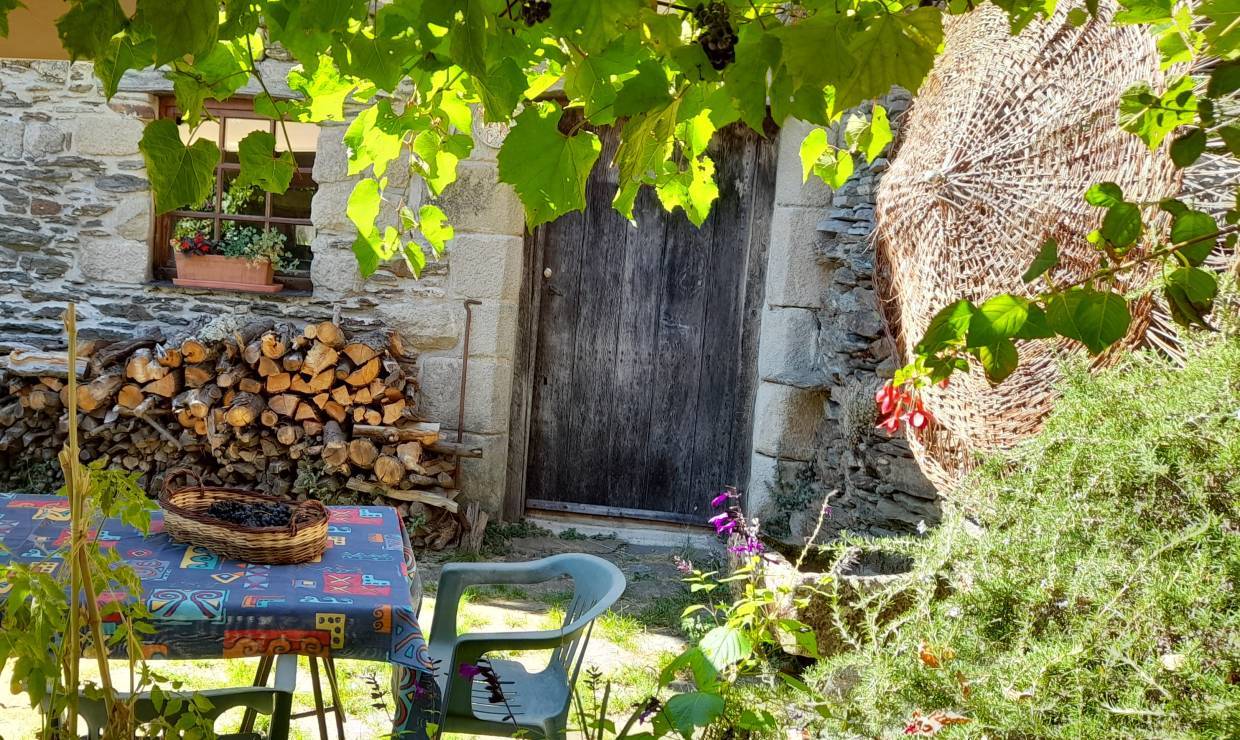 Jardin