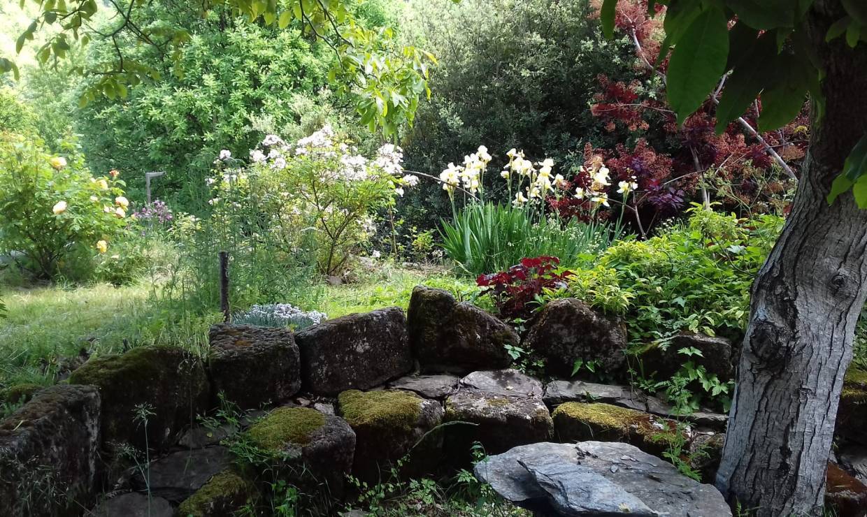 Jardin