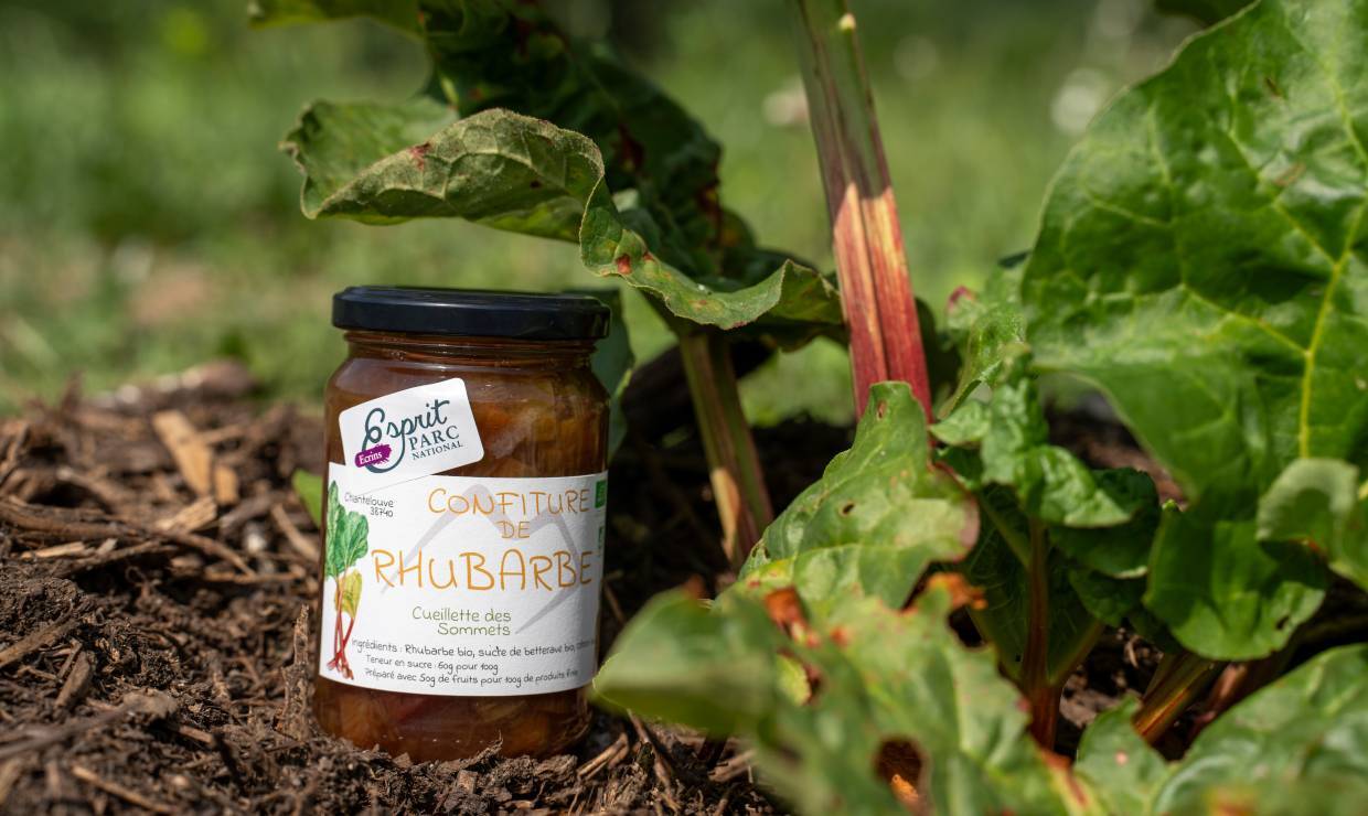 Confiture de rhubarbe Cueillette des Sommets - Florent Pedrini - Vertical Flow