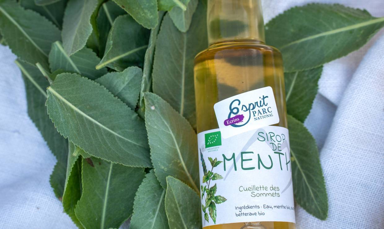 Sirop de menthe Cueillette des Sommets - Florent Pedrini - Vertical Flow Sirop de menthe Cueillette des Sommets - Florent Pedrini - Vertical Flow