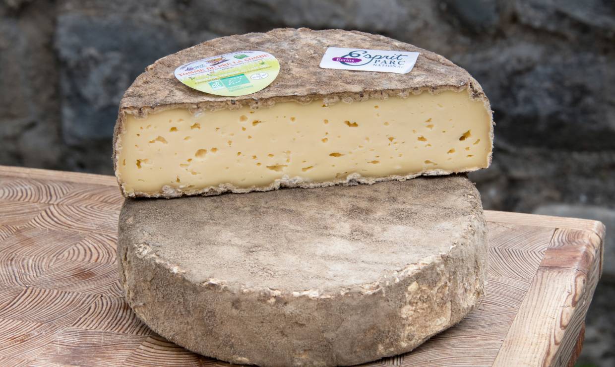La Ferme du Gâ, tomme
