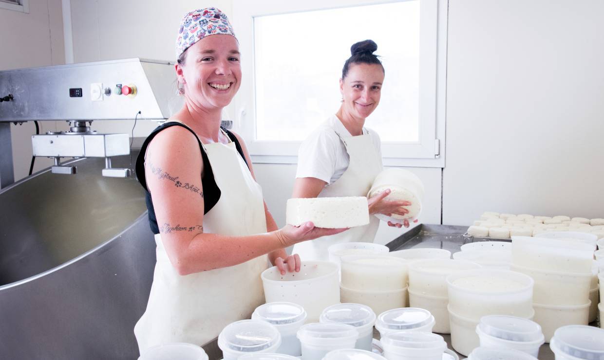 Ferme du Gâ, fromage
