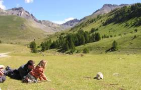 Rencontre avec les marmottes © Rando Passion