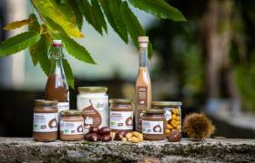 Saveurs du Castanet © Régis Domergue - Parc national des Cévennes