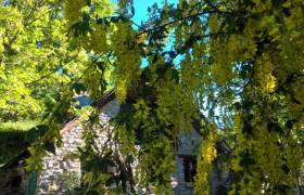 le printemps à la Coquille