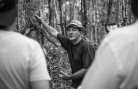 Visite - culture de la vanille en agroforesterie