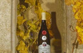 Chardonnay