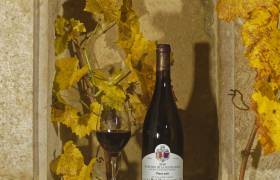 Pinot noir