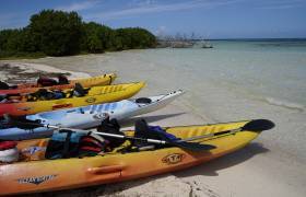 Sortie de découverte du Grand-Cul-de Sac Marin en kayak