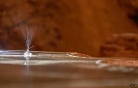 goutte d'eau