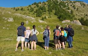 Randonnée la grande faune du Mercantour