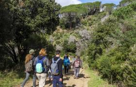 Sortie S'PECE au Cap Lardier