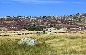 Séjour randonnée &amp;quot;Des paysages et des hommes&amp;quot;
