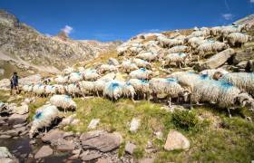 Ferme Cazaux - AE-Médias - P. MEYER/Parc national des Pyrénées