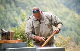 Les Ruchers Nestes Baronnies - Céline Lecomte - OFB