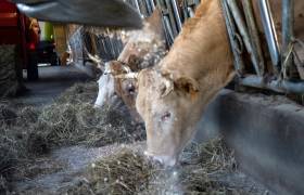 Ferme Bretou - AE Médias - P. MEYER - Parc national des Pyrénées