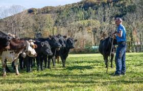 Ferme Bretou - AE médias - P. Meyer - Parc national des Pyrénées