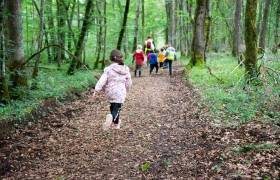 Balade dans le Parc national de forêts, Maison de la Forêt © Céline Lecomte - OFB