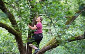 Grimpe dans les arbres, Maison de la Forêt © Céline Lecomte - OFB