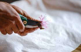 Herberie de la Tillle, atelier © Céline Lecomte - OFB
