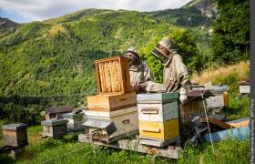 Silvestre Klébert et ses ruches © Pierre Witt - Parc national de la Vanoise