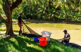 Parc aquacole - visite © Lara Balais - Parc national de la Guadeloupe