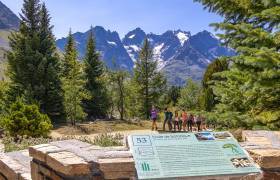 Jardin alpin du Lautaret © Bertrand Bodin - Parc  national des Ecrins