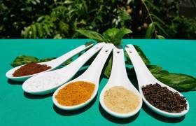 Poudre la rouroute, safran, poudre de gingembre mangue et basilic © Angie et Benji