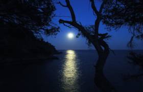 Balade nocturne
