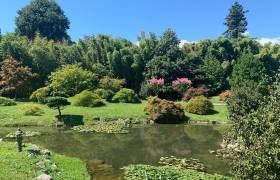 Plan d'eau © La Bambouseraie en Cévennes