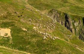 Gaec Bexka - P. MEYER AE. Médias - Parc national des Pyrénées