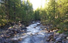 riviere sanguiniere