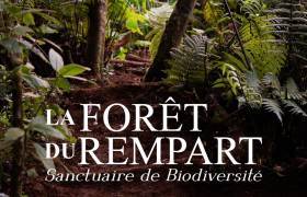 Visite de la Foret du Rempart - Association Ferme Pei