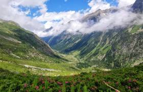 J. VIGNASSE - Parc national des Pyrénées