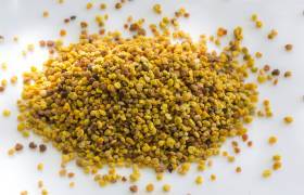 Pollen