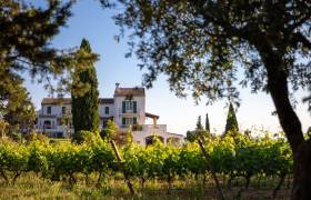 © Domaine de la Navicelle